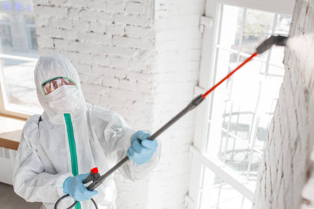 Mold Remediation for Specific Building Types